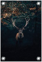 Tuinposter –Eland in Herstig Bos– 40x60cm Foto op Tuinposter (wanddecoratie voor buiten en binnen)