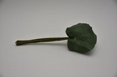 Kunstbloemen En Overige - Single Medium Galax Leaf Green Pak A 24