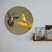 Schilderij Fotokunst Rond - Kolibrie bloem | 50 x 50 cm | PosterGuru