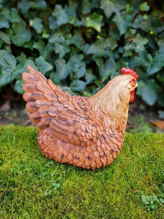 Broed kip zit 26cm bruin