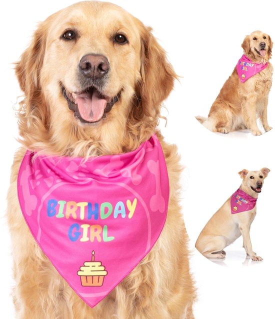 Verwonderlijk bol.com | Odi Style Birthday Girl honden bandana voor honden KV-64