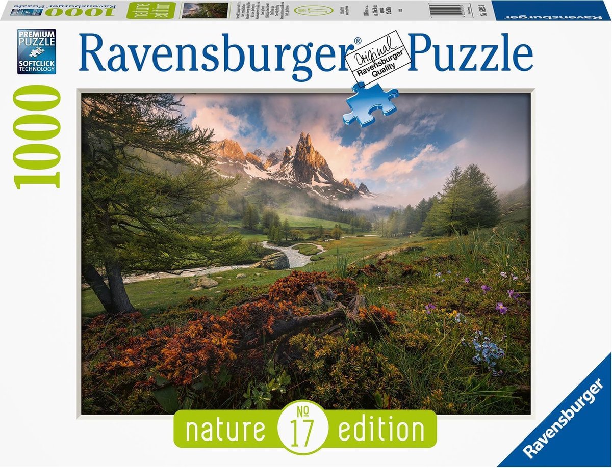 Altijd Boekwinkel verwerken Ravensburger puzzel Franse Alpen - Legpuzzel - 1000 stukjes | bol.com