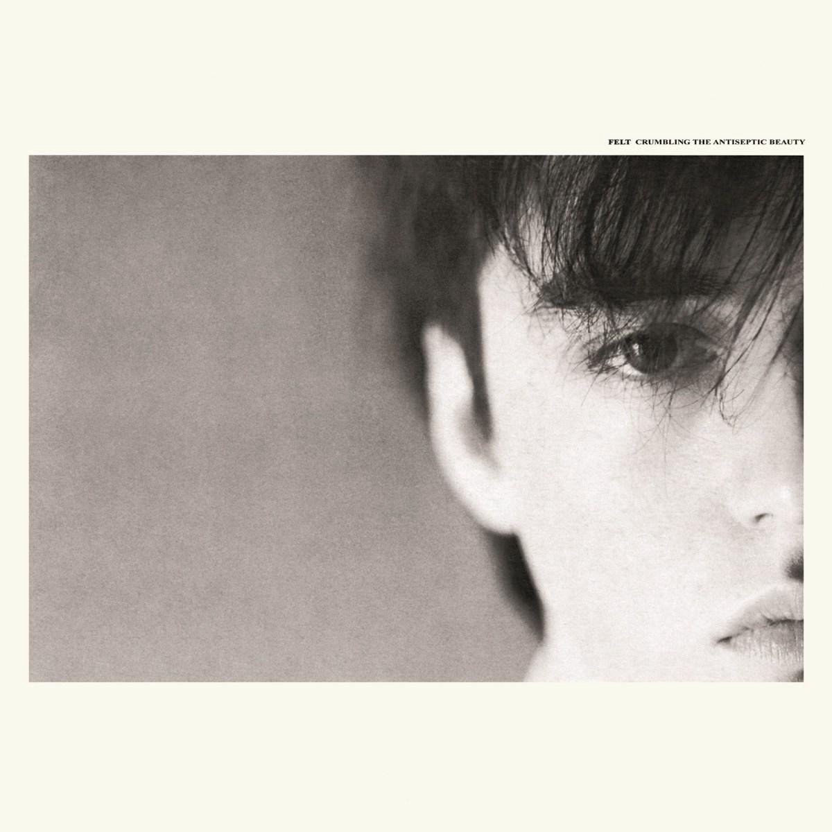 Crumbling The Antiseptic Beauty (Deluxe Remastered Gatefold Sleeve Vinyl Edition)