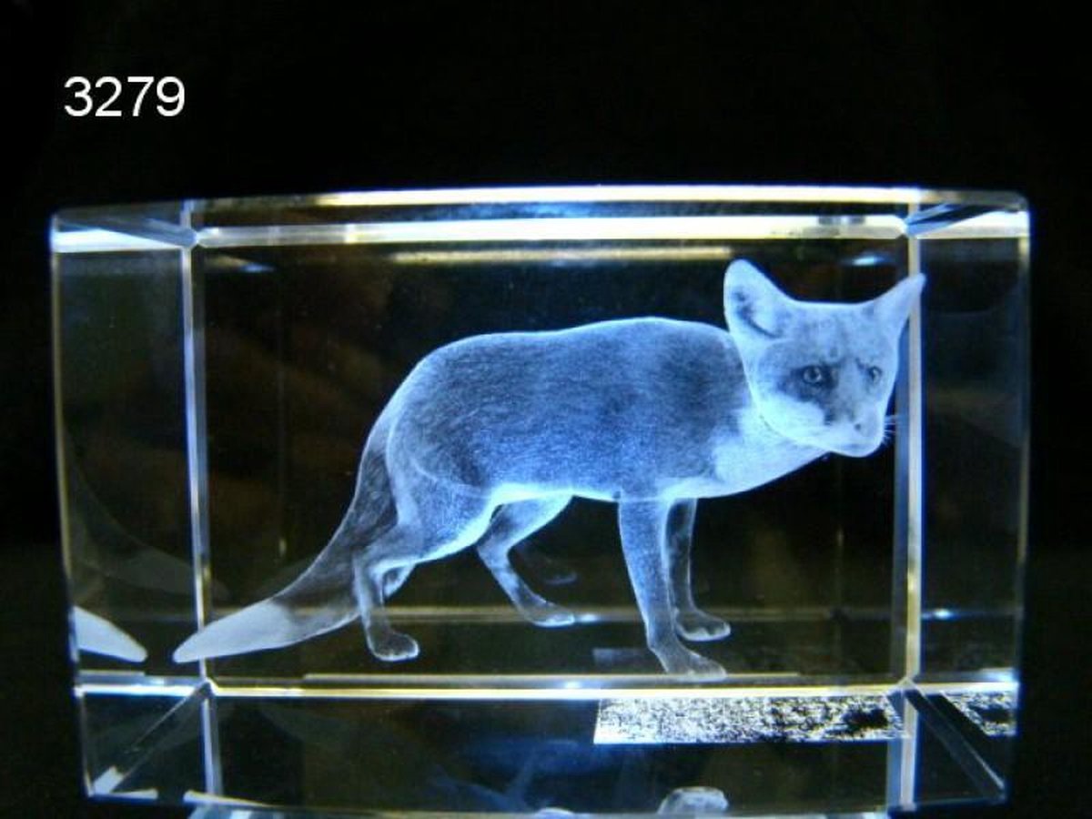3D Lasergravure Vos in Glasblokje – 5 x 5 x 8 cm – Inclusief Geschenkverpakking