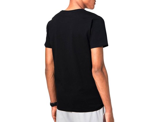 Longsleeve herenshirt klein logo