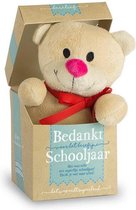 Pluche beertje in een doosje - Bedankt voor het schooljaar - In cadeauverpakking met gekleurd lint