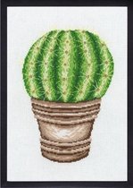 Borduurpakket Cactus van Permin