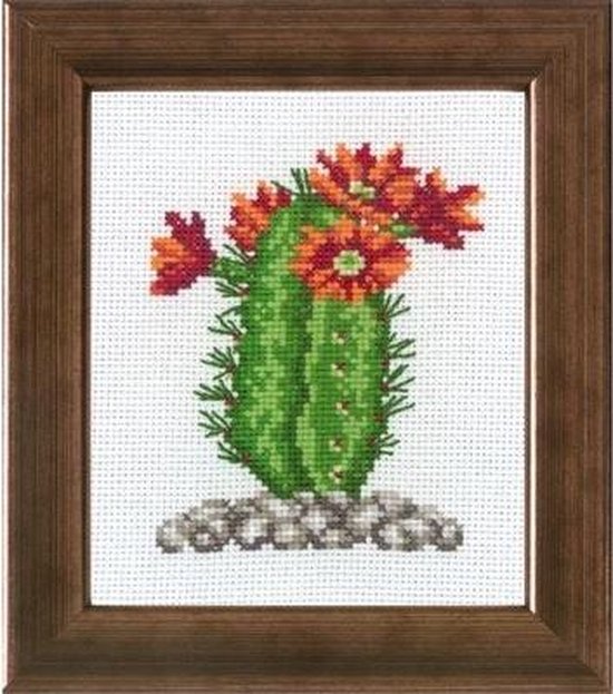 Kit de point de croix Cactus orange de Permin | bol.com