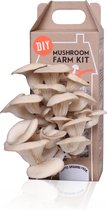 DIY Mushroom Farm Kit - Oesterzwam - Grijs