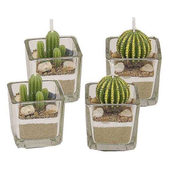 4x Cactus kaarsjes in glas 5 cm - Cactusplant en bolcactus kaarsen set 4 stuks