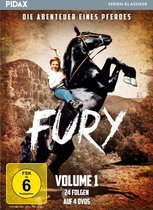 Fury - Die Abenteuer eines Pferdes, Vol. 1