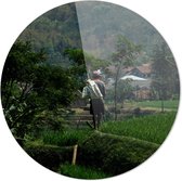 Man in rijstveld | Wanddecoratie | Ronde Plexiglas | 90CM x 90CM | Schilderij | Foto op plexiglasschilderij
