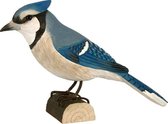 Blauwe gaai (Blue Jay) in lindenhout - handgemaakt