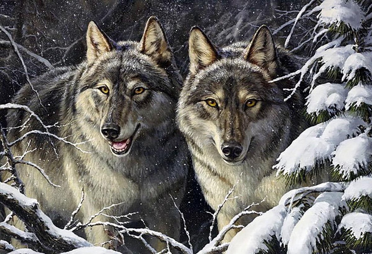 Diamond Painting Rascals /Wolven 70x48