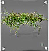 Plantenzak Bloomingwalls The Green Pockets - PEVA1 - Grijs