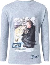 Freeks t-shirt, maat 104-110, grijs met opdruk Freek Vonk en wolf