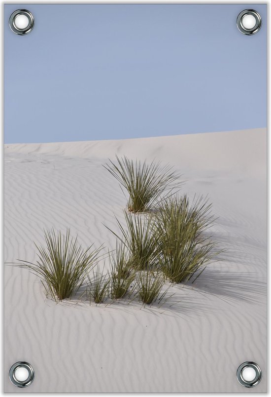 Foto: Tuinposter helmgras in de duinen 60x90cm foto op tuinposter wanddecoratie voor buiten en binnen 