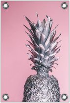 Tuinposter –Ananas op Roze Achergrond– 100x150cm Foto op Tuinposter (wanddecoratie voor buiten en binnen)