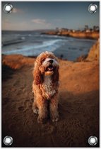 Tuinposter –Hond op Strand– 80x120cm Foto op Tuinposter (wanddecoratie voor buiten en binnen)