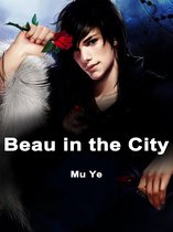 Volume 1 1 - Beau in the City