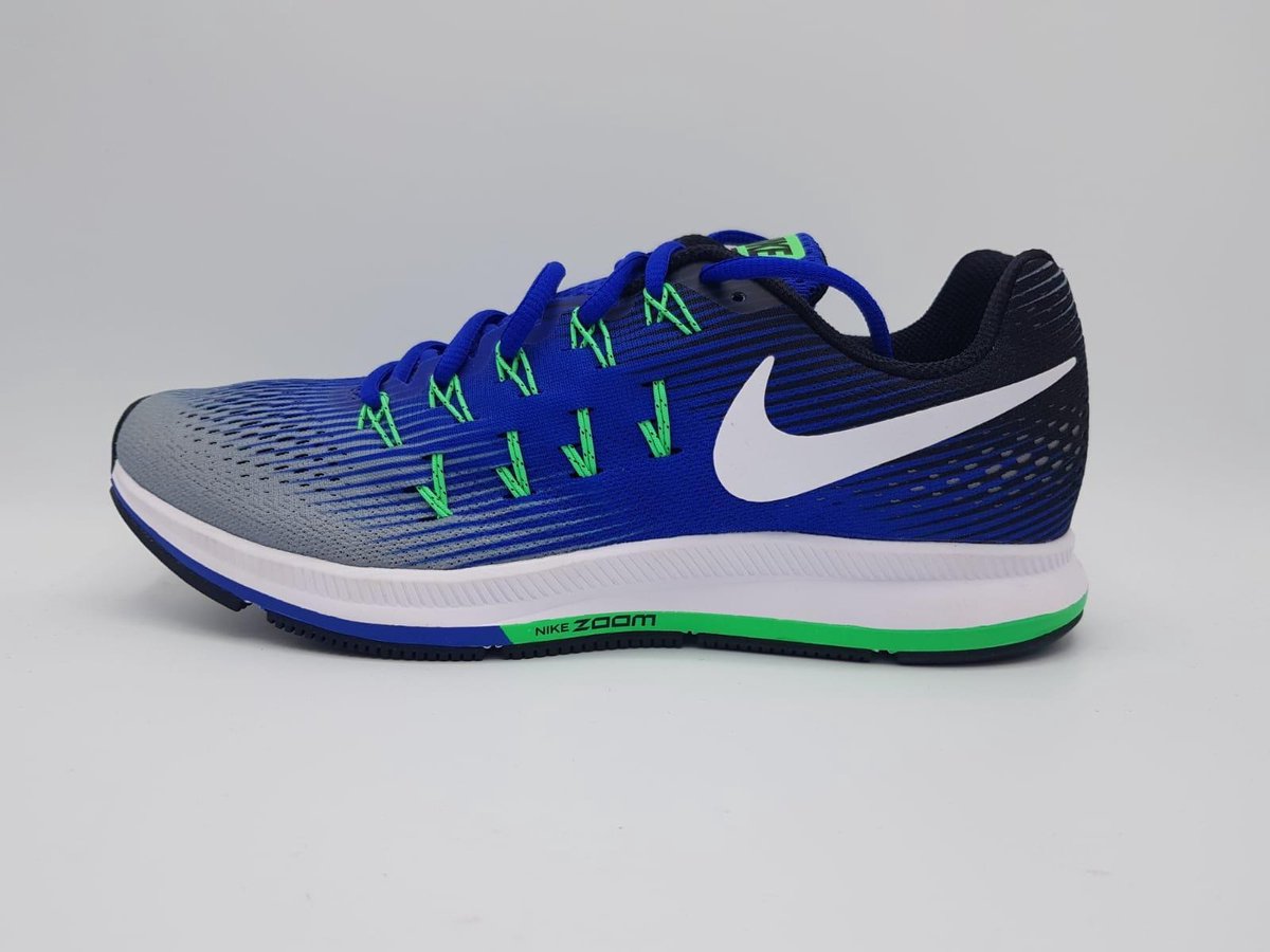 nike air zoom pegasus 33 le