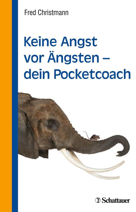 Keine Angst vor Ängsten - dein Pocketcoach - cover