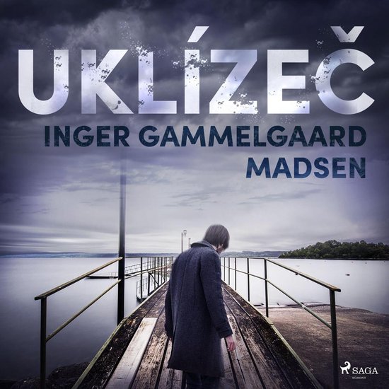 Uklízeč - cover