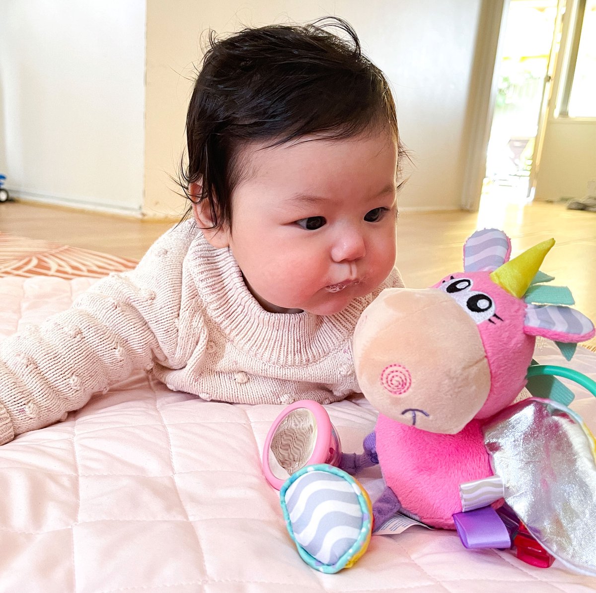 Playgro Clip Clop Rammelaar Unicorn Eenhoorn Roze - Activiteitenspeeltje - Rammelaar - Kraamkado - Baby speelgoed - Babyspeeltje - Kinderwagenaccessoire - Knuffeldier - Baby rammelaar - Bijtspeelgoed - Grijpspeelgoed - Baby — afbeelding 11