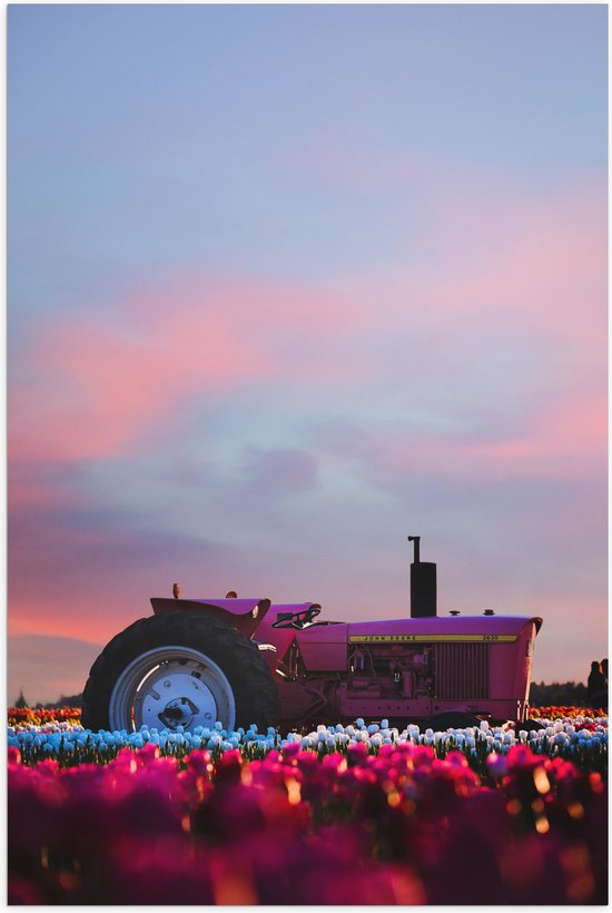 Poster Glanzend – Felroze Tractor Geparkeerd in het Bloemenveld - 70x105 cm Foto op Posterpapier met Glanzende Afwerking