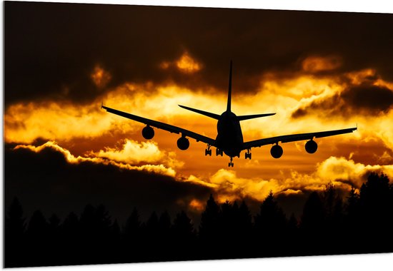 Acrylglas - Silhouet van Passagiersvliegtuig boven de Bomen tijdens Zonsondergang - 150x100 cm Foto op Acrylglas (Met Ophangsysteem)
