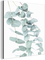 Décoration murale Métal - Peinture Aluminium Industriel - Plantes - Vert - Nature - Wit - Feuilles - 90x90 cm - Dibond - Photo sur aluminium - Décoration murale industrielle - Pour le salon/chambre