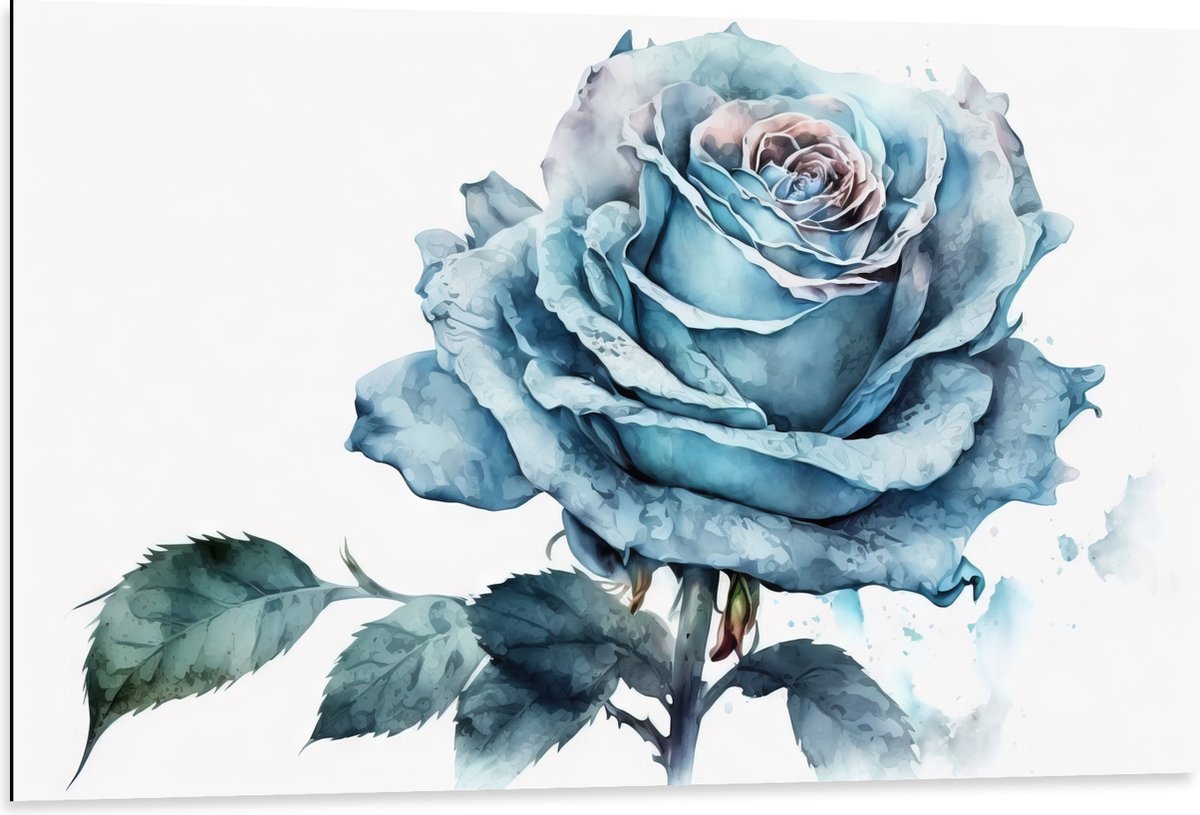 Dibond - Aquarel Verf Tekening van Blauwe Roos met Groene Bladeren - 105x70 cm Foto op Alu