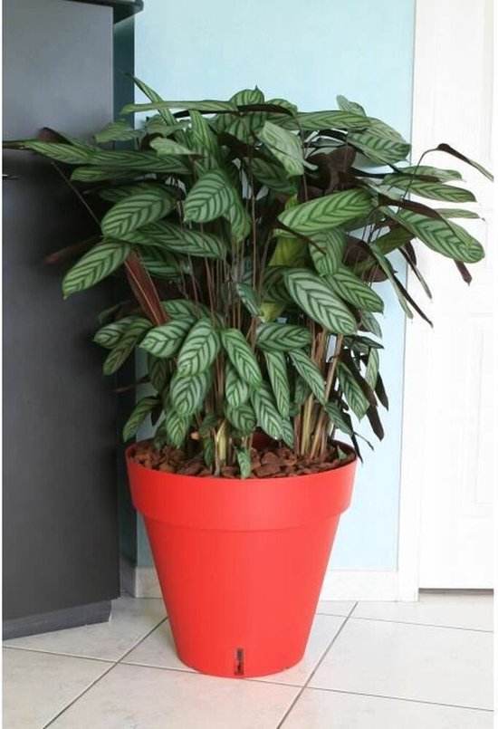 RIVIERA Pot de fleurs Loft avec réserve d'eau - Rond - Ø 50 x H 46 cm - Rouge