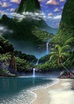 Denza - Diamond painting natuur met beach 40 x 50 cm volledige bedrukking ronde steentjes direct leverbaar - jungle - waterval