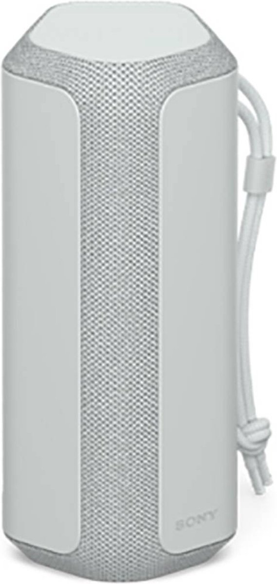 Sony SRS-XE200 Grijs