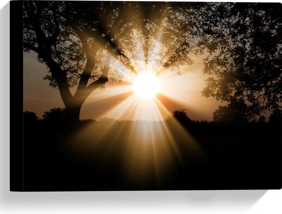 Canvas - Bomen - Landschap - Zon - Zonsondergang - 40x30 cm Foto op Canvas Schilderij (Wanddecoratie op Canvas)