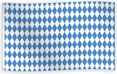 Vlag Oktoberfest blauw-wit 90 x 150 cm