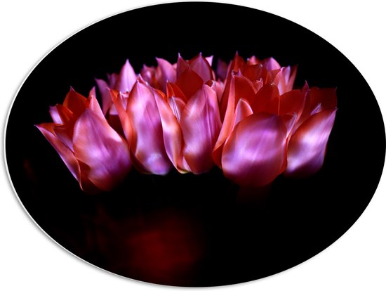 PVC Schuimplaat Ovaal - Rode Roze Lotussen - 68x51 cm Foto op Ovaal (Met Ophangsysteem)