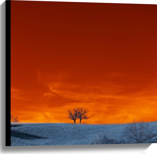 Canvas - Bomen - Landschap - Sneeuw - Oranje - Lucht - 60x60 cm Foto op Canvas Schilderij (Wanddecoratie op Canvas)