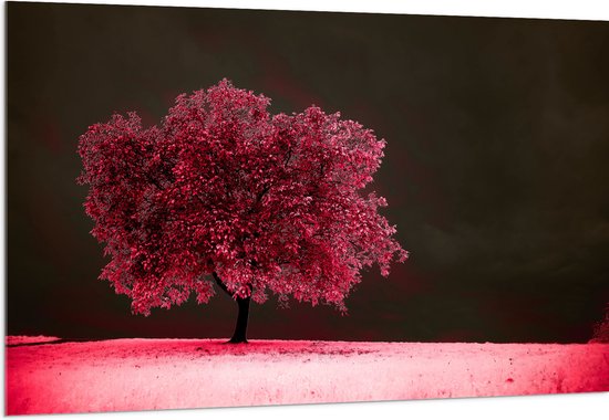 Acrylglas - Boom - Landschap - Roze - Bladeren - 150x100 cm Foto op Acrylglas (Met Ophangsysteem)