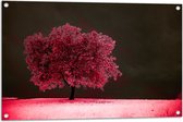 Tuinposter – Boom - Landschap - Roze - Bladeren - 90x60 cm Foto op Tuinposter (wanddecoratie voor buiten en binnen)