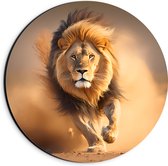 Dibond Muurcirkel - Aanstormende Mannetjes Leeuw door het Afrikaanse Landschap - 20x20 cm Foto op Aluminium Muurcirkel (met ophangsysteem)