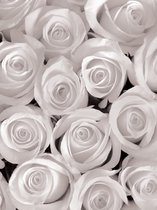 Flowers Roses Photo Wallcovering