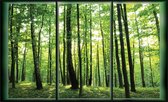 Forest Trees GreenNature Photo Wallcovering