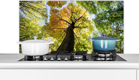 Spatscherm keuken 100x50 cm - Kookplaat achterwand Boom - Natuur - Bos - Muurbeschermer - Spatwand fornuis - Hoogwaardig aluminium