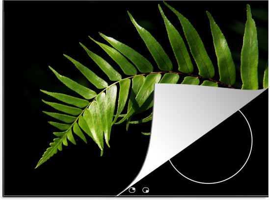 KitchenYeah® Inductie beschermer 60x52 cm - Close-up van een varenblad tegen een zwarte achtergrond - Kookplaataccessoires - Afdekplaat voor kookplaat - Inductiebeschermer - Inductiemat - Inductieplaat mat