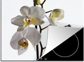 KitchenYeah® Inductie beschermer 60x52 cm - Witte mot orchidee - Kookplaataccessoires - Afdekplaat voor kookplaat - Inductiebeschermer - Inductiemat - Inductieplaat mat
