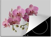 KitchenYeah® Inductie beschermer 60x52 cm - Orchideeën op grijze achtergrond - Kookplaataccessoires - Afdekplaat voor kookplaat - Inductiebeschermer - Inductiemat - Inductieplaat mat