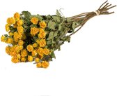 Droogbloemen rozen vertakt natuurlijk geel - 1 bundel