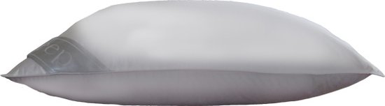 Coussin blanc vu de côté, avec une bande satinée 'iSleep' sur le côté.